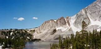 Medicine Bow National Forest. Kodak Portra 400 / FugiFilm 645Wi. © Hawk Buckman