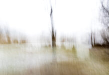 Dancing with Light: The Art of Intentional Camera Movement